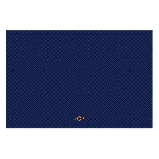 Oyster Luggage protector